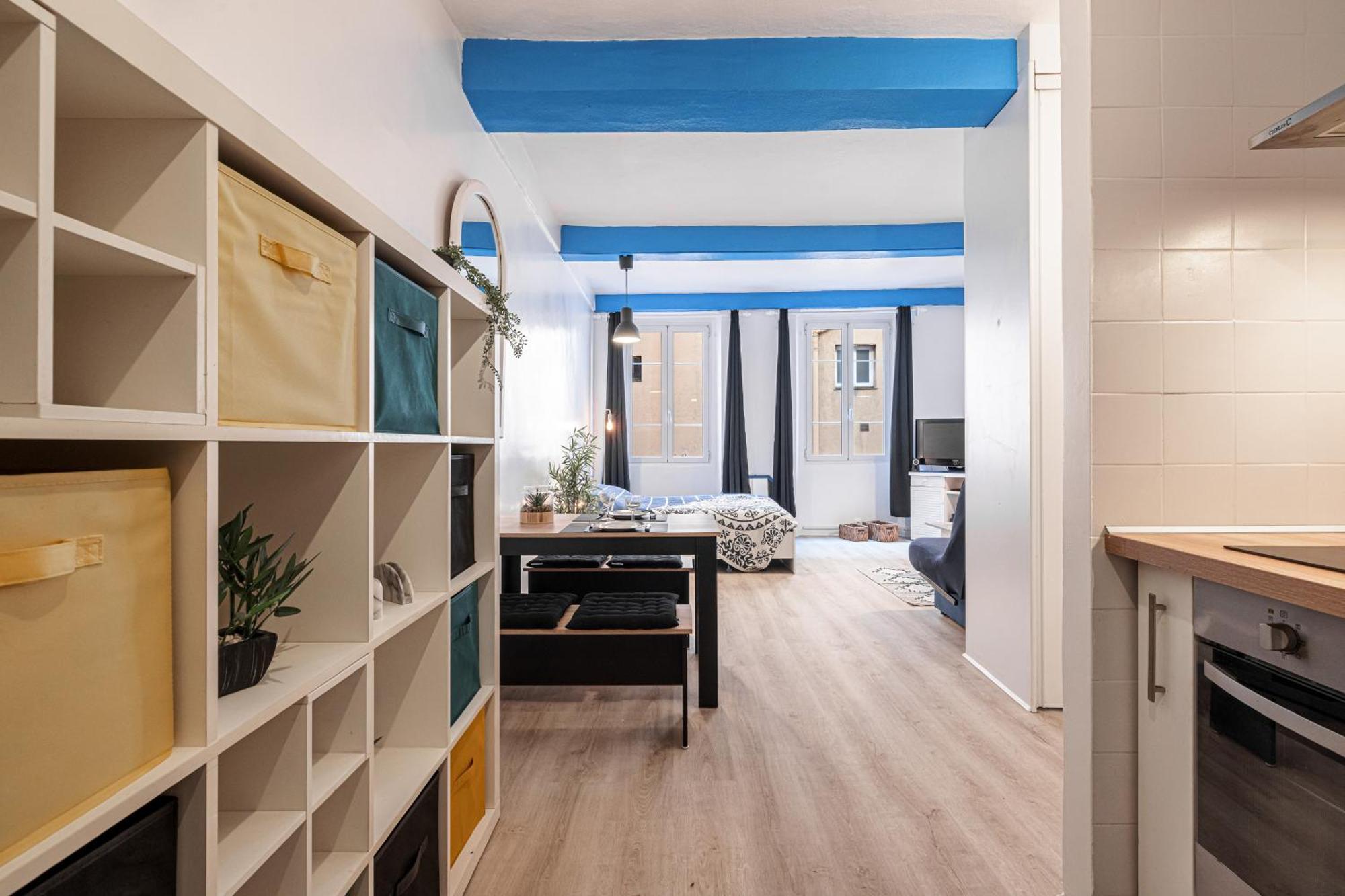 Apartment Large 100m From The Nizza
